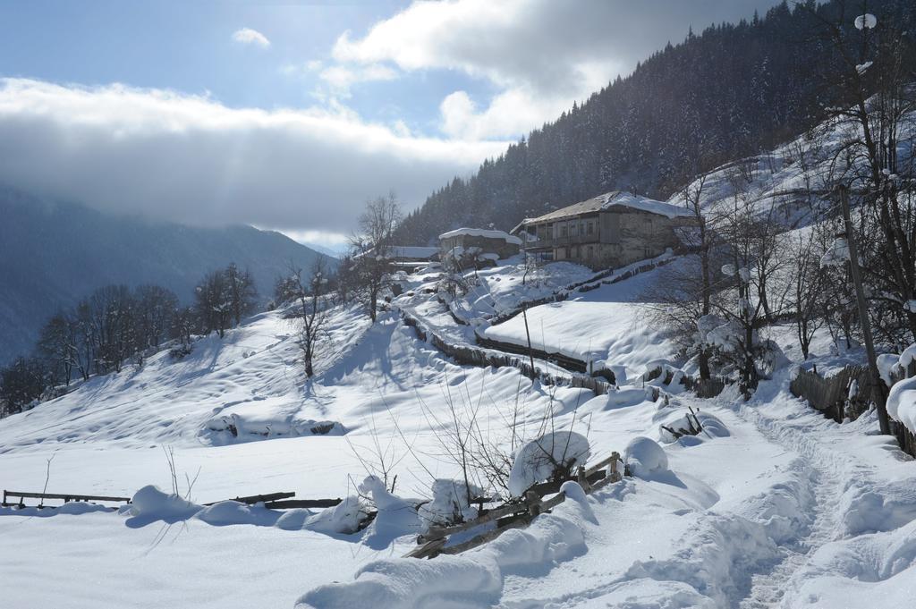 Guest House Murkvam Tvebishi Exterior photo